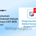 Pengumuman PPPK Kemensos Sekolah Rakyat 2026 CAT BKN Diundur, Peserta Menunggu BKN